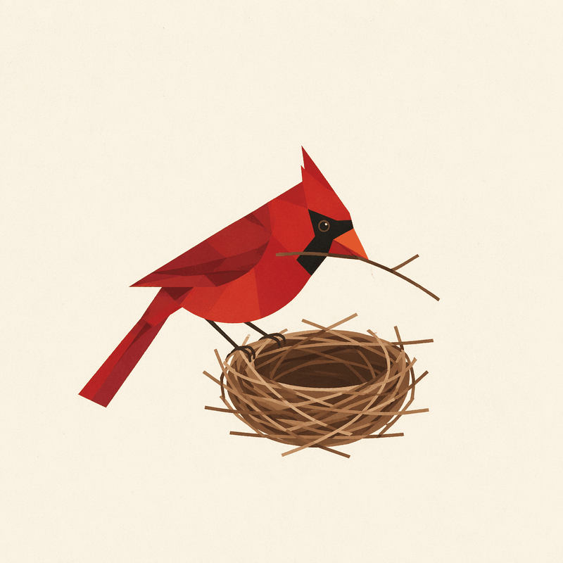 A geometric red cardinal weaving twigs into a nest