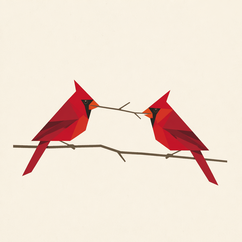 Two geometric red cardinals passing a twig between them